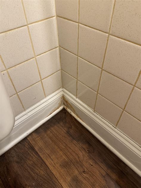 water leaking from baseboard|Water leaking from under the baseboard : r/HomeImprovement